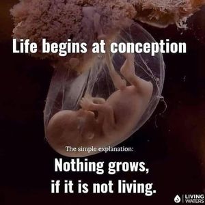 Meet your Posher, Embeth